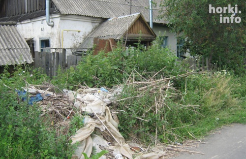 Жительница Горок просит чиновников о помощи уже 25 лет