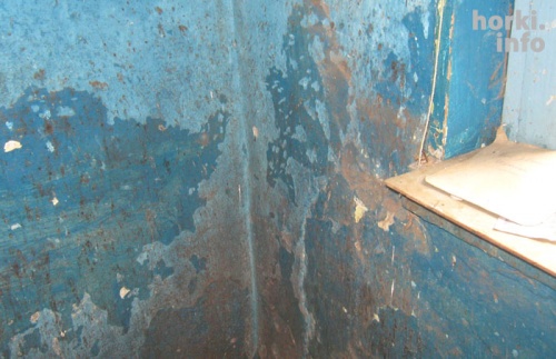 Жительница Горок просит чиновников о помощи уже 25 лет