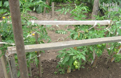 Жительница Горок просит чиновников о помощи уже 25 лет