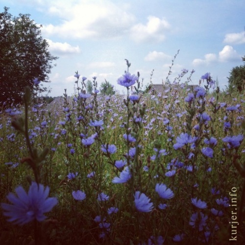 Фото-экспансия. Четыре фотографии от Виктории Макаровой