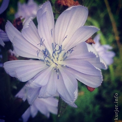 Фото-экспансия. Четыре фотографии от Виктории Макаровой