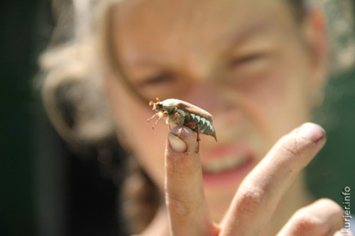 Фото-экспансия. Четыре фотографии от Виктории Макаровой