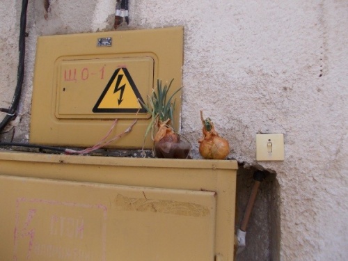 Отзыв туриста: Странный позитивный день в Гродно