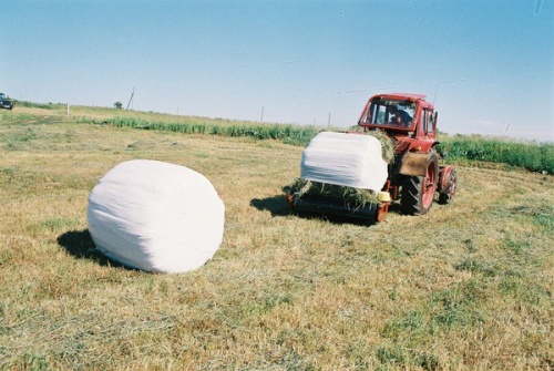 Битва за урожай-2013 началась с уборки рапса