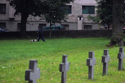 Воинское кладбище в Гродно может перестать быть удобным местом для выгула собак