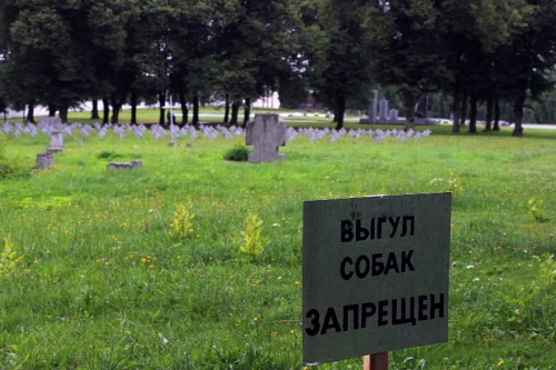 Воинское кладбище в Гродно может перестать быть удобным местом для выгула собак
