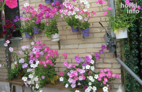 Леонид Исаков из Горок создал своими руками двор мечты