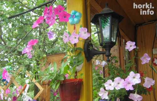 Леонид Исаков из Горок создал своими руками двор мечты