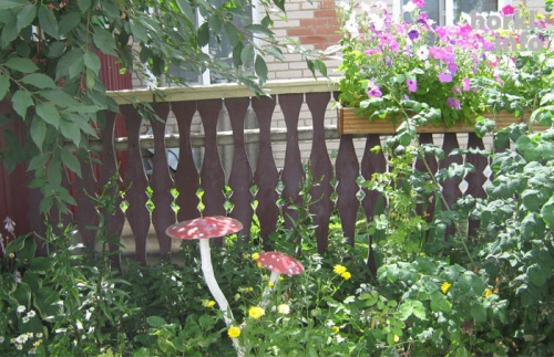 Леонид Исаков из Горок создал своими руками двор мечты