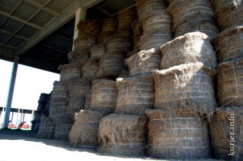 Слуцкие пояса освободили от пошлин и налогов