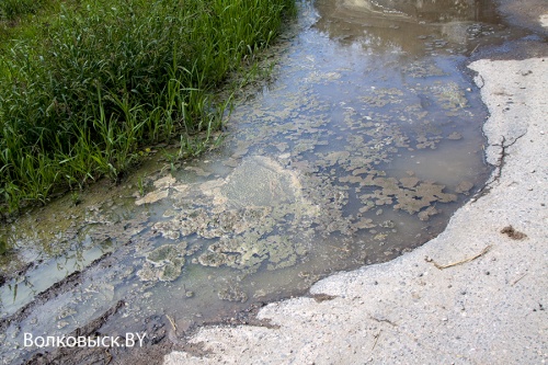 Экономия по верейковски