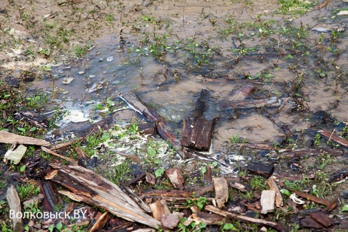 Экономия по верейковски