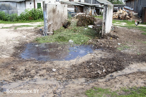 Экономия по верейковски