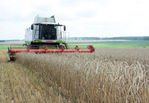 Праздник первого снопа