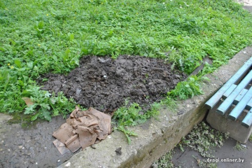 Конфликт: полочанин упал в люк, повредил ноутбук и мобильник, а ЖРЭУ отказывается возмещать ущерб (фото)