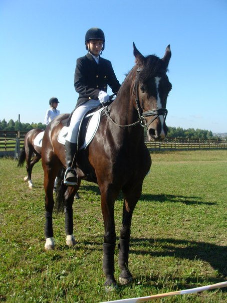 Первенство Гродненской области по выездке