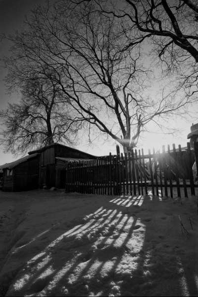 Андрей Мацур: «Снимаю жизнь во всех её проявлениях»"