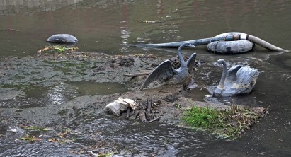 Фотофакт: как чистят Городничанку в “Швейцарской долине”
