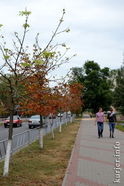В Слуцке Беларусь ещё больше цветёт