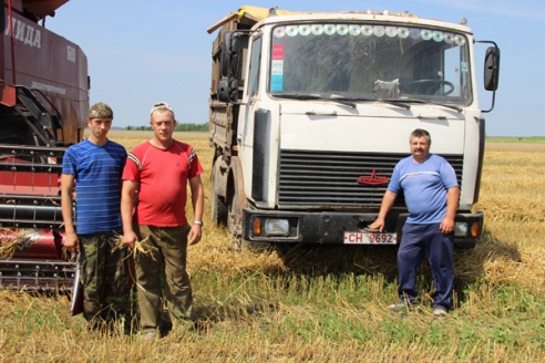 Комбайнеры: «Нам бы недельки полторы солнечной погоды, и мы бы вышли на финишную прямую!»