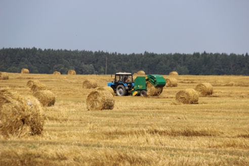 Комбайнеры: «Нам бы недельки полторы солнечной погоды, и мы бы вышли на финишную прямую!»