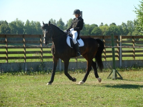 Первенство Гродненской области по выездке