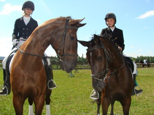 Первенство Гродненской области по выездке