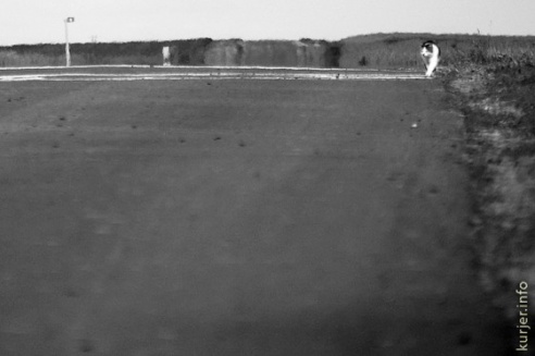 Фотохроника июля—2013. Слуцк