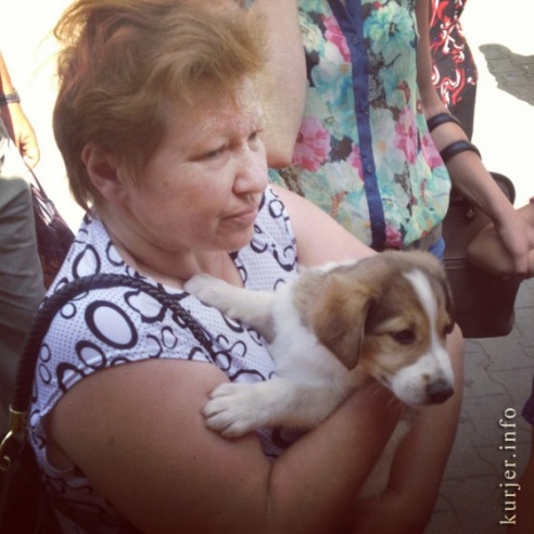 Фотоокна. 11 августа 2013