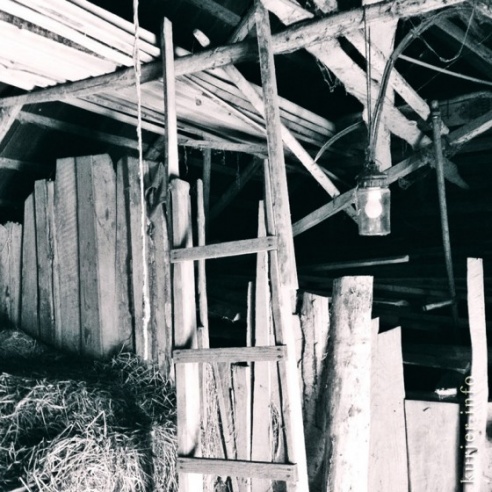 Фотоокна. 13 августа 2013. Сельские заметки