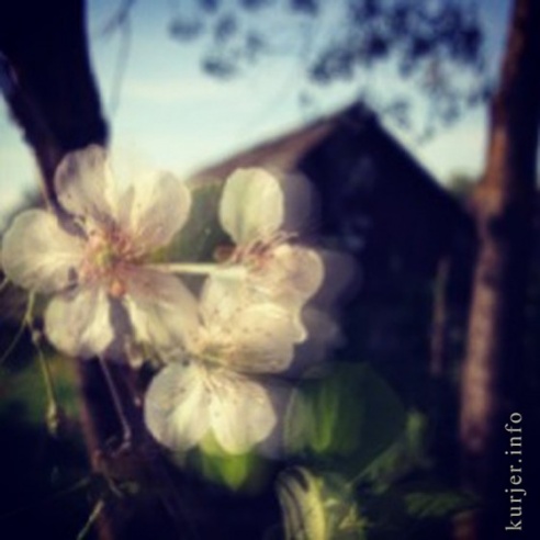 Фотоокна. 13 августа 2013. Сельские заметки