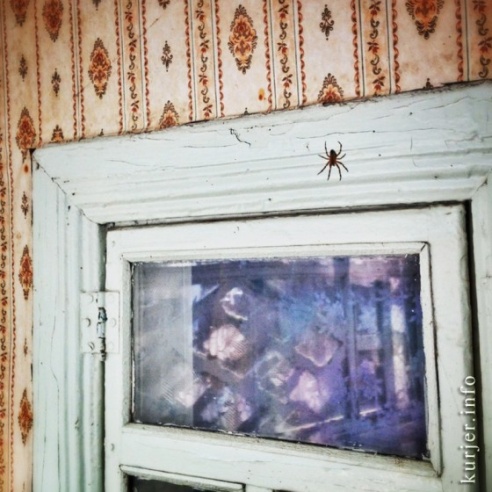 Фотоокна. 13 августа 2013. Сельские заметки