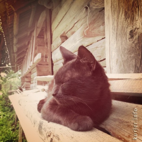 Фотоокна. 13 августа 2013. Сельские заметки