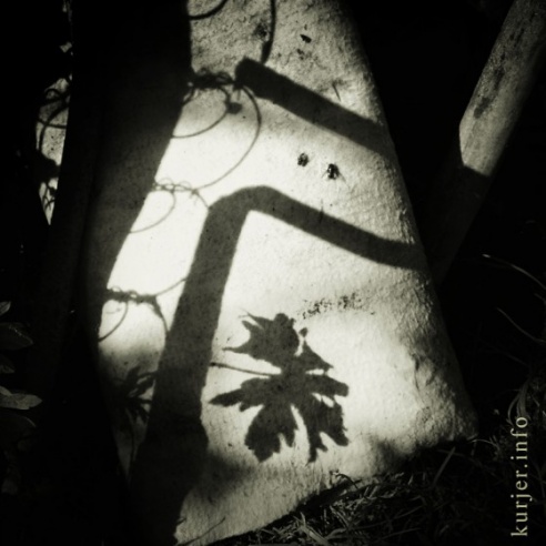 Фотоокна. 13 августа 2013. Сельские заметки