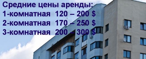 Снять квартиру в Могилёве на длительный срок стало сложнее (инфографика)