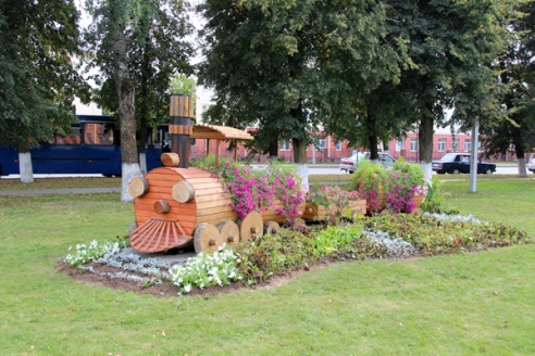 В Ошмянах выбрали лучших цветоводов области. Фоторепортаж