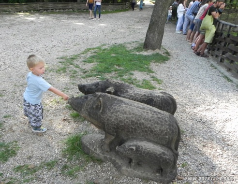 Агротуристический комплекс “Коробчицы” избавился от всех хрюшек на своей территории