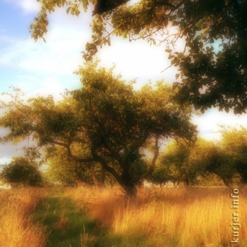 Фотоокна. 16 августа 2013. Про сельские виды