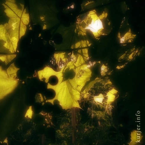 Фотоокна. 16 августа 2013. Про сельские виды