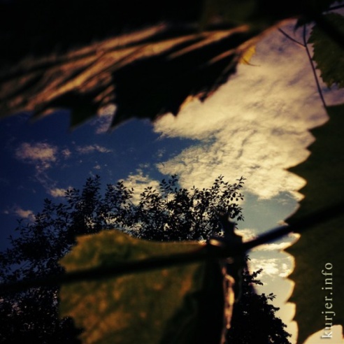 Фотоокна. 16 августа 2013. Про сельские виды