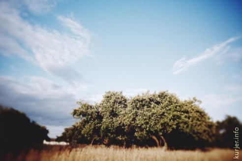 Фотоокна. 16 августа 2013. Про сельские виды