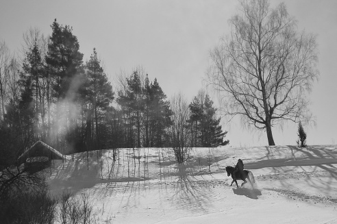 Андрей Мацур: «Снимаю жизнь во всех её проявлениях»"