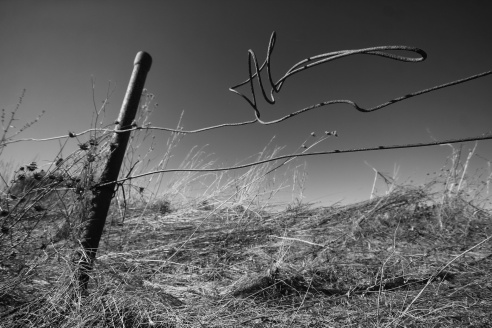 Андрей Мацур: «Снимаю жизнь во всех её проявлениях»"