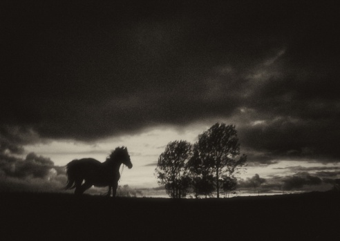 Андрей Мацур: «Снимаю жизнь во всех её проявлениях»"