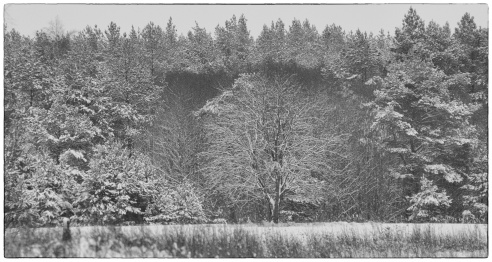 Андрей Мацур: «Снимаю жизнь во всех её проявлениях»"