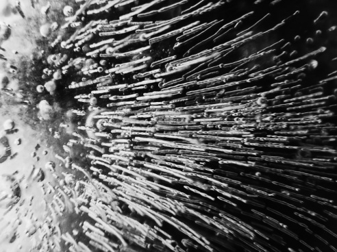 Андрей Мацур: «Снимаю жизнь во всех её проявлениях»"