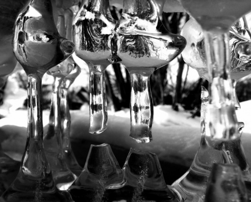 Андрей Мацур: «Снимаю жизнь во всех её проявлениях»"