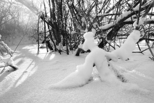 Андрей Мацур: «Снимаю жизнь во всех её проявлениях»"