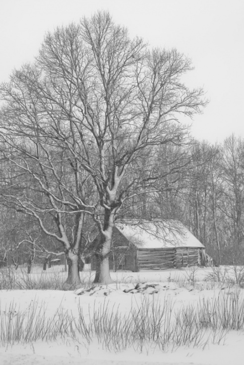 Андрей Мацур: «Снимаю жизнь во всех её проявлениях»"