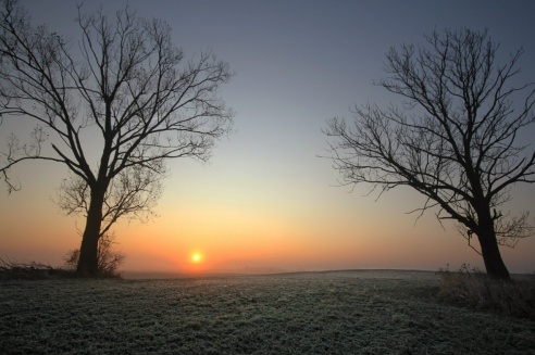 Андрей Мацур: «Снимаю жизнь во всех её проявлениях»"